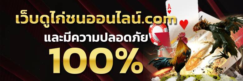 แทงไก่ชนยอดนิยม